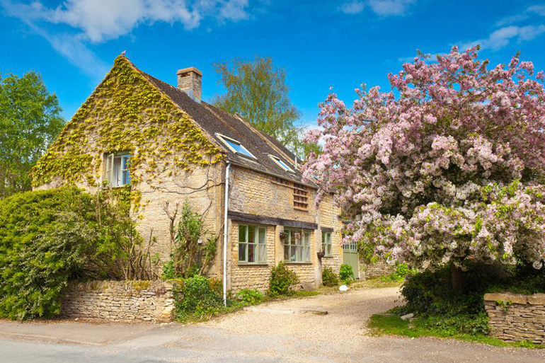 A cottage in UK with Spring Seasoned Blooming Flowers.