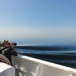 Discover the Best of Northern Europe by Ferry With DFDS